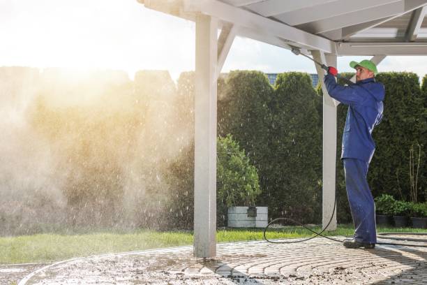 Best Dumpster Area Cleaning  in Naples, UT
