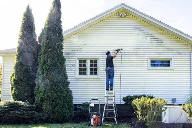 Best Gutter Cleaning  in Naples, UT
